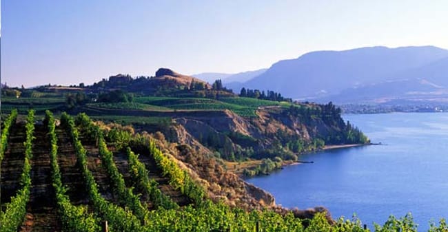 Okanagan Wine Country...or not