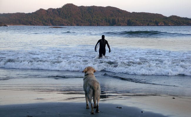 Tofino, Vancouver Island, BC
