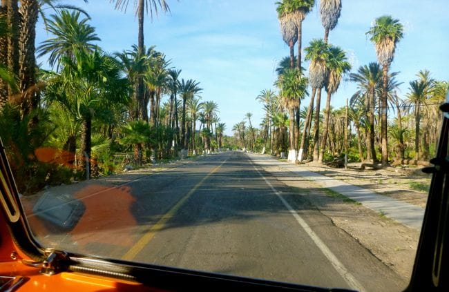 San Ignacio, Baja