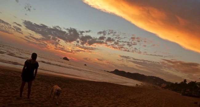Still in Zipolite