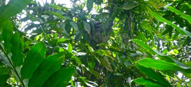 Cahuita, Costa Rica