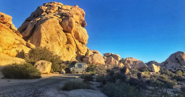 Joshua Tree